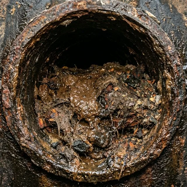 고압세척 서비스